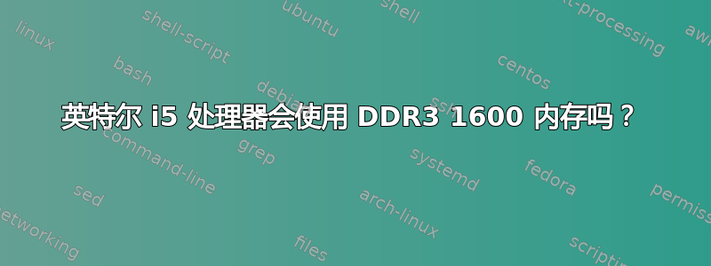 英特尔 i5 处理器会使用 DDR3 1600 内存吗？