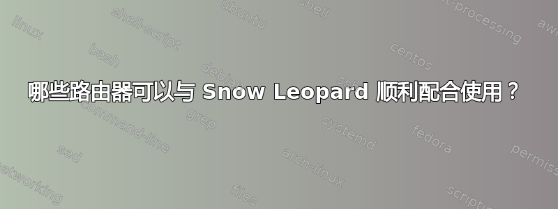 哪些路由器可以与 Snow Leopard 顺利配合使用？