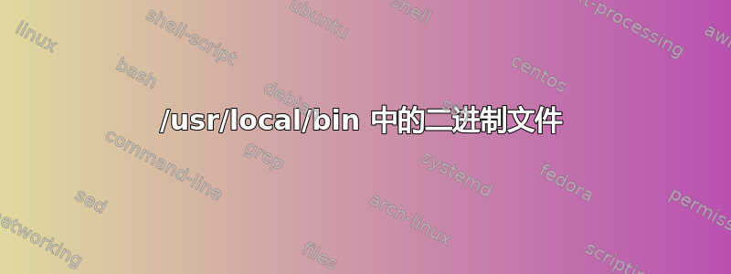 /usr/local/bin 中的二进制文件