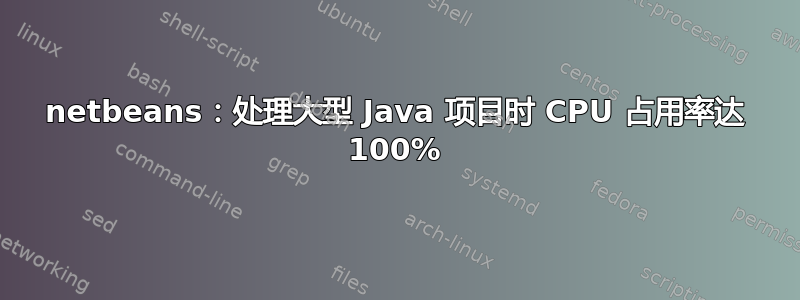 netbeans：处理大型 Java 项目时 CPU 占用率达 100%