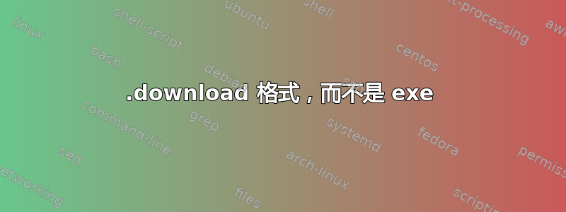 .download 格式，而不是 exe