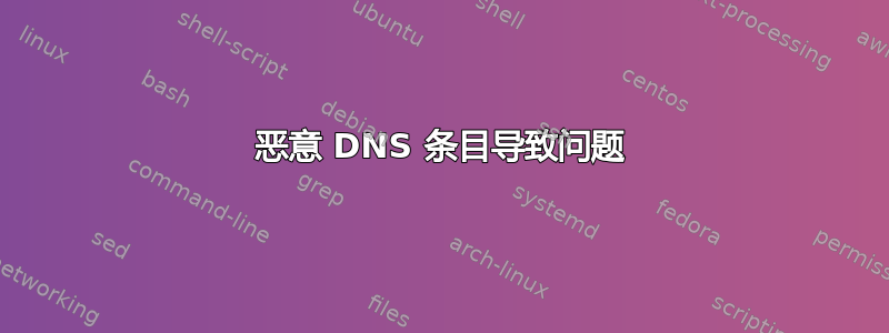 恶意 DNS 条目导致问题