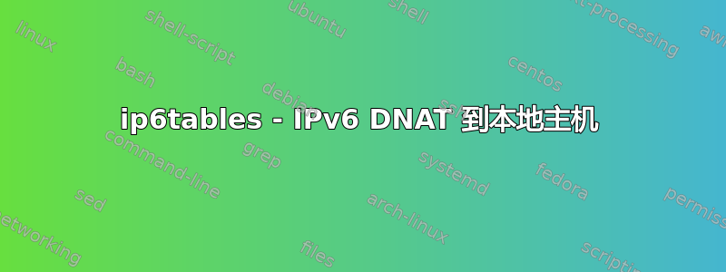 ip6tables - IPv6 DNAT 到本地主机