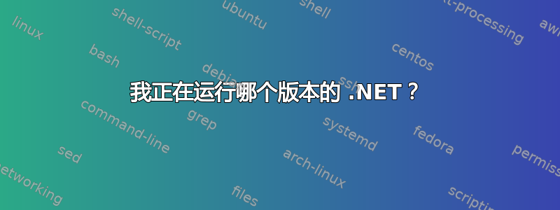 我正在运行哪个版本的 .NET？