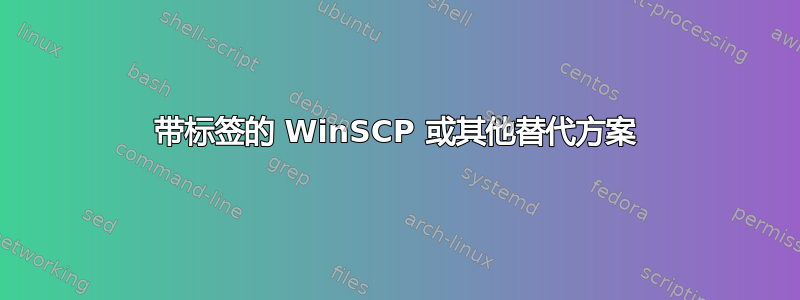 带标签的 WinSCP 或其他替代方案