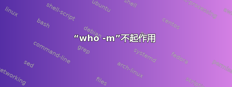 “who -m”不起作用