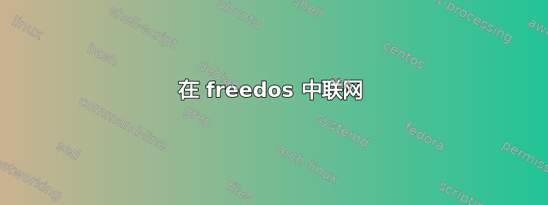 在 freedos 中联网