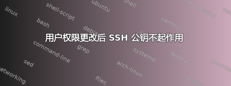 用户权限更改后 SSH 公钥不起作用