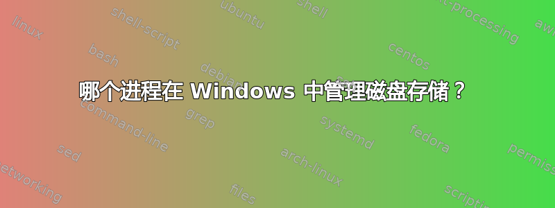 哪个进程在 Windows 中管理磁盘存储？