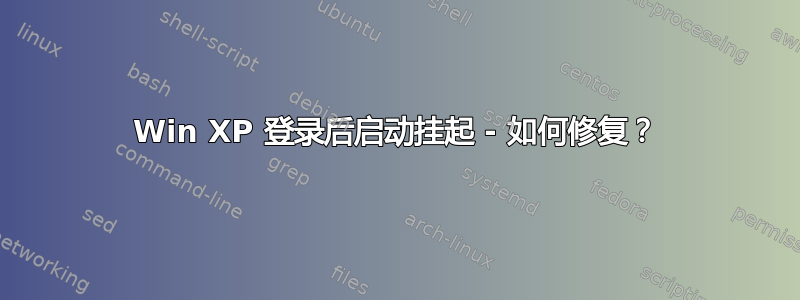 Win XP 登录后启动挂起 - 如何修复？