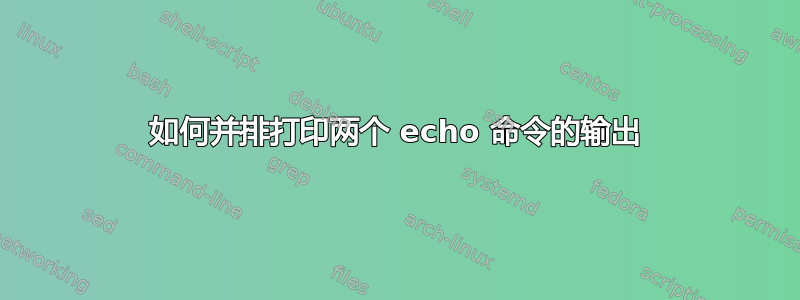 如何并排打印两个 echo 命令的输出