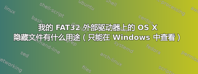 我的 FAT32 外部驱动器上的 OS X 隐藏文件有什么用途（只能在 Windows 中查看）