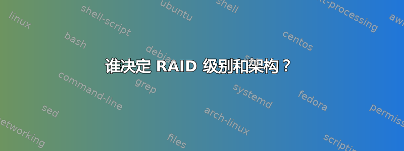 谁决定 RAID 级别和架构？