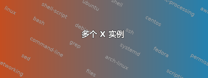 多个 X 实例