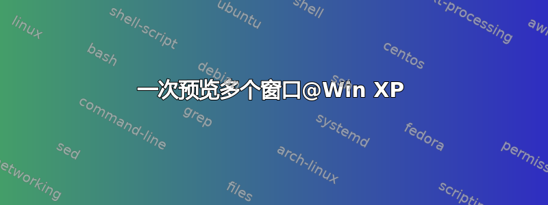 一次预览多个窗口@Win XP