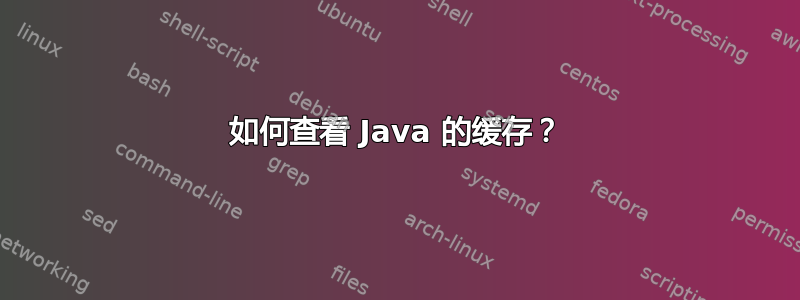 如何查看 Java 的缓存？