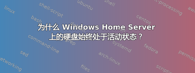 为什么 Windows Home Server 上的硬盘始终处于活动状态？