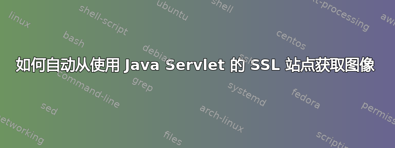 如何自动从使用 Java Servlet 的 SSL 站点获取图像