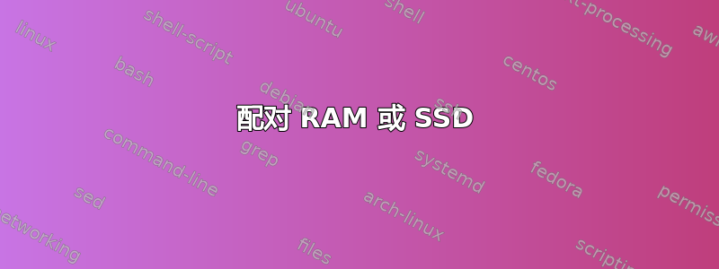 配对 RAM 或 SSD