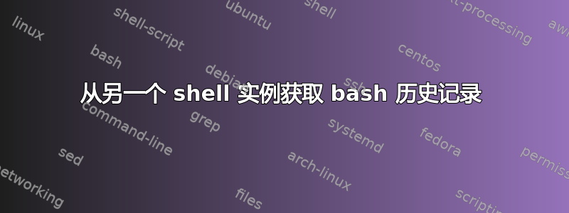 从另一个 shell 实例获取 bash 历史记录