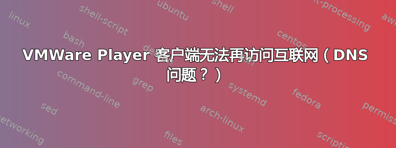 VMWare Player 客户端无法再访问互联网（DNS 问题？）