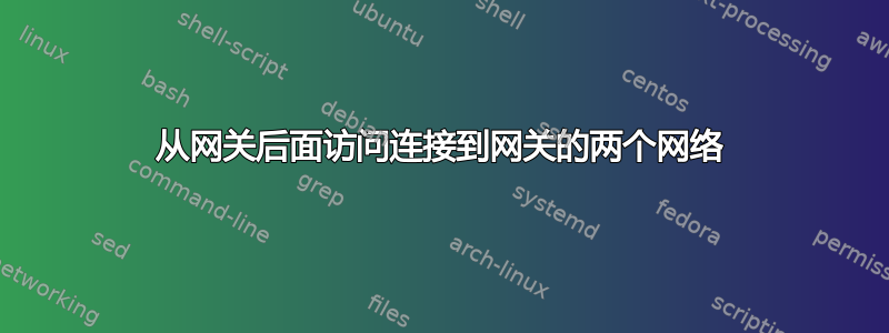 从网关后面访问连接到网关的两个网络