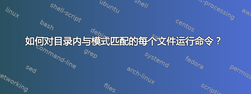 如何对目录内与模式匹配的每个文件运行命令？