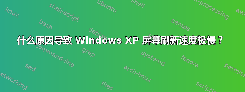 什么原因导致 Windows XP 屏幕刷新速度极慢？