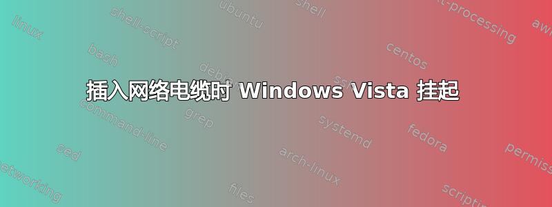 插入网络电缆时 Windows Vista 挂起