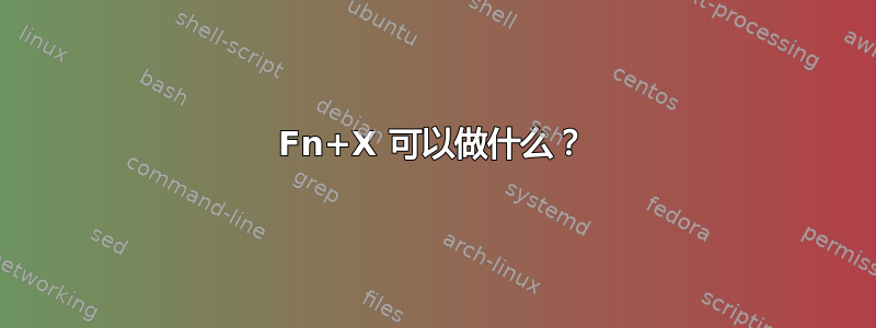 Fn+X 可以做什么？