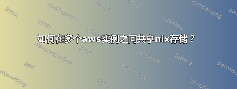 如何在多个aws实例之间共享nix存储？