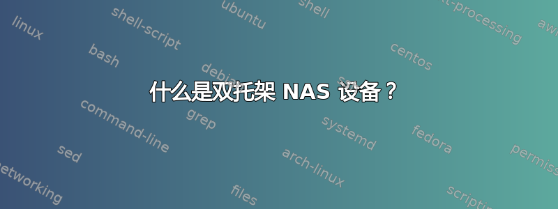 什么是双托架 NAS 设备？