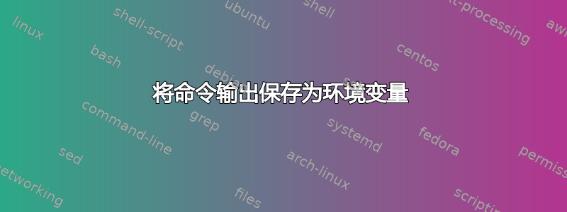 将命令输出保存为环境变量