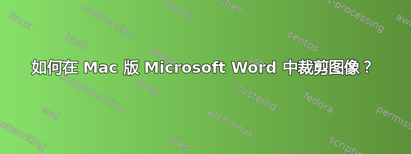 如何在 Mac 版 Microsoft Word 中裁剪图像？