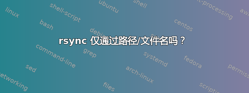 rsync 仅通过路径/文件名吗？