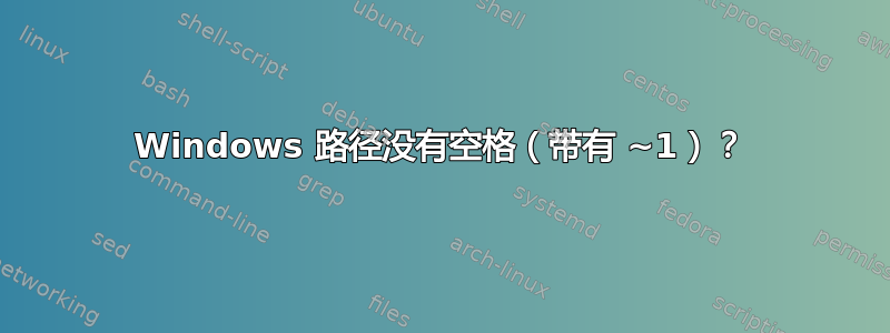 Windows 路径没有空格（带有 ~1）？