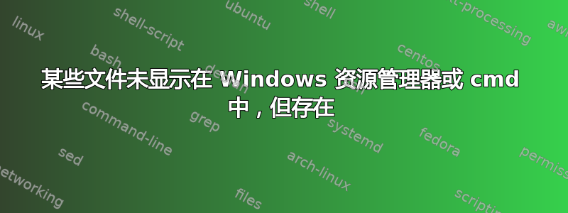 某些文件未显示在 Windows 资源管理器或 cmd 中，但存在