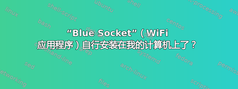 “Blue Socket”（WiFi 应用程序）自行安装在我的计算机上了？