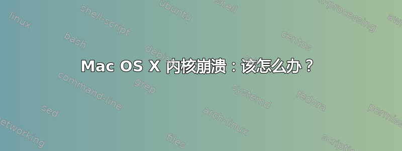 Mac OS X 内核崩溃：该怎么办？