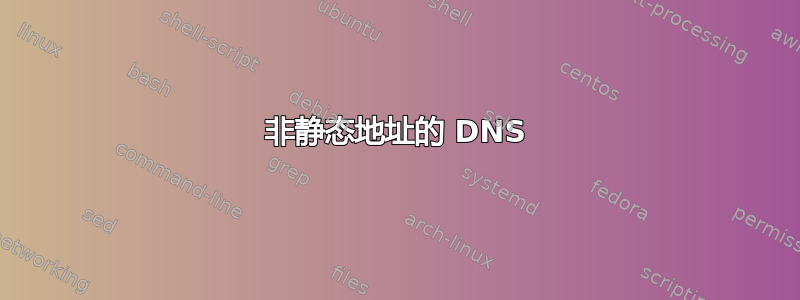 非静态地址的 DNS