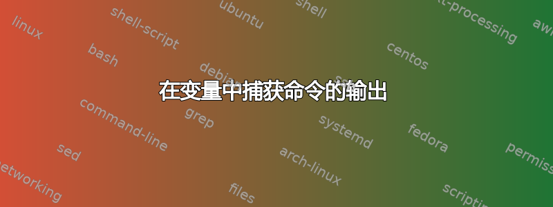 在变量中捕获命令的输出