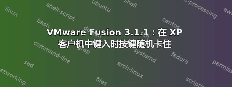 VMware Fusion 3.1.1：在 XP 客户机中键入时按键随机卡住