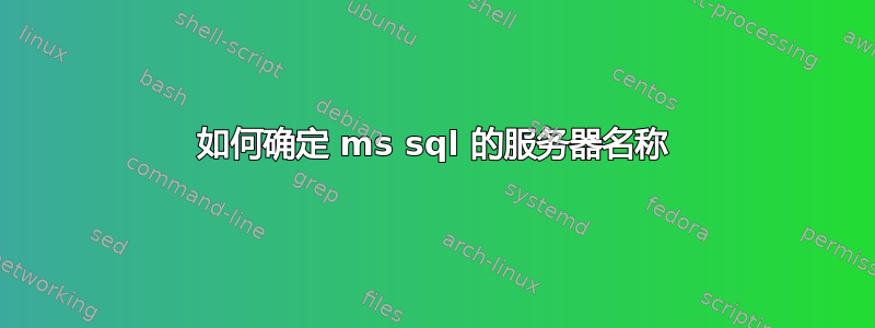 如何确定 ms sql 的服务器名称