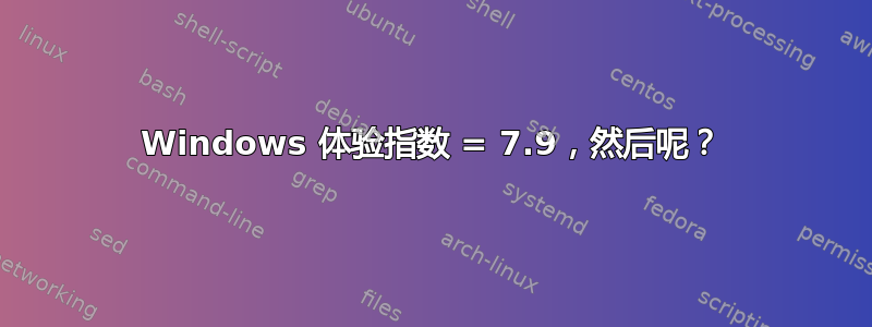 Windows 体验指数 = 7.9，然后呢？