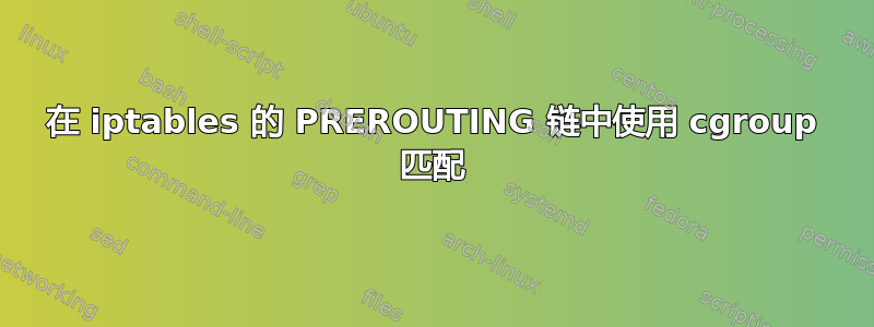 在 iptables 的 PREROUTING 链中使用 cgroup 匹配