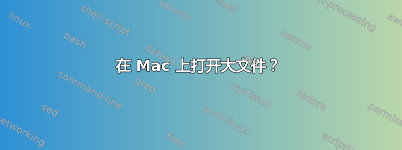 在 Mac 上打开大文件？