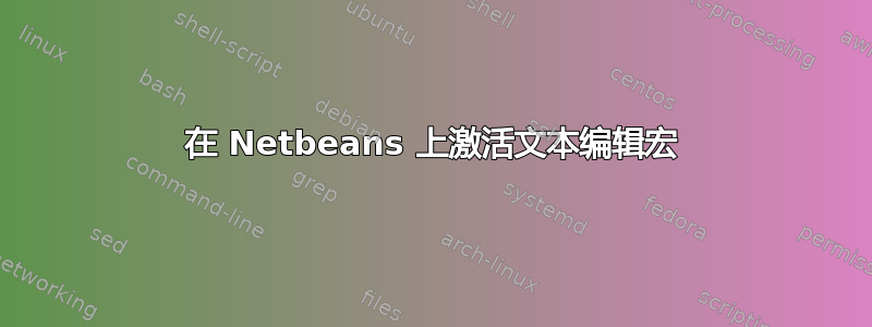 在 Netbeans 上激活文本编辑宏