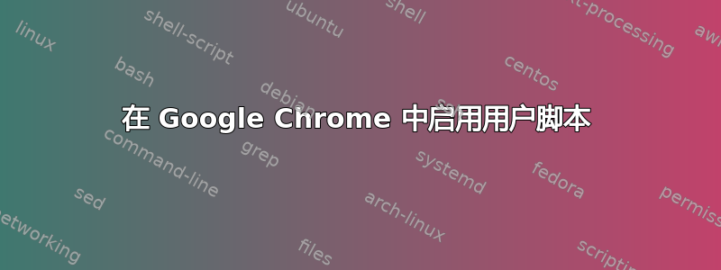 在 Google Chrome 中启用用户脚本