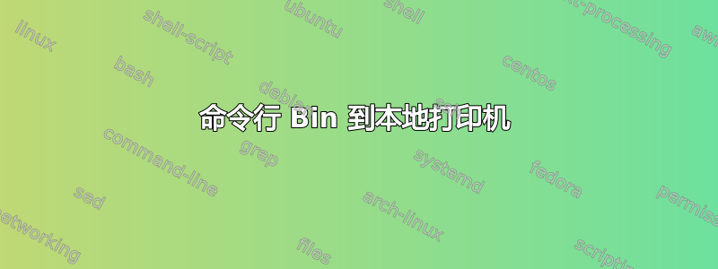 命令行 Bin 到本地打印机