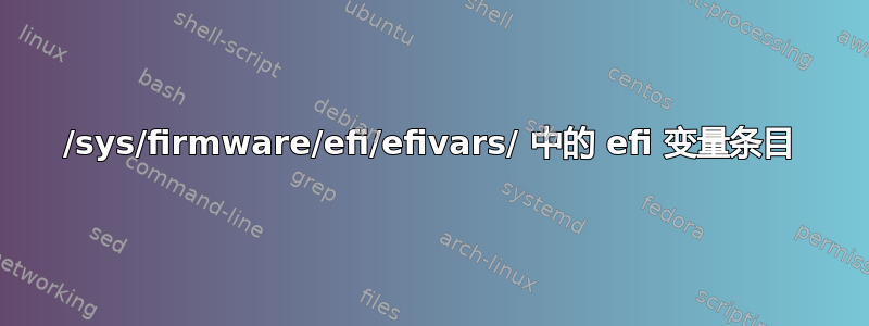 /sys/firmware/efi/efivars/ 中的 efi 变量条目